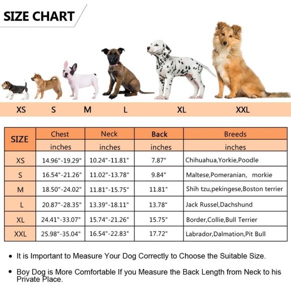 Brand New! Dog Life Jacket Shark Life Vest Orange Lifesaver Small - Picture 2 of 13